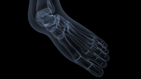 X-ray human foot isolated on black background. 3D illustrationの写真素材