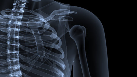 X-Ray image of human shoulder, isolated on black background.の写真素材