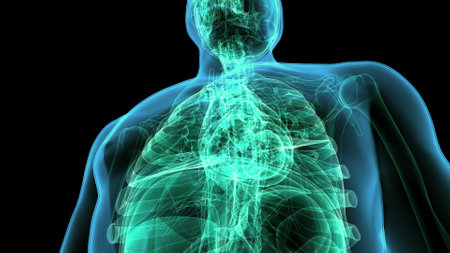Human Body Organs Anatomy For Medical Concept 3D Illustrationの写真素材