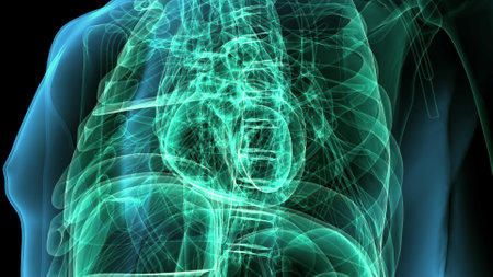 Human Skeleton Anatomy (Lungs) For Medical Conceptの写真素材