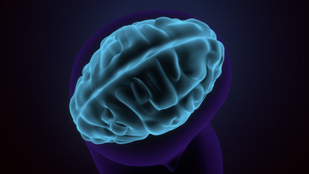 Human brain in blue light, 3D rendering. Computer digital drawing.の写真素材