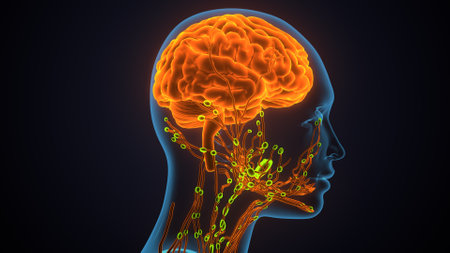 Human brain with circuit and microcircuit. 3D illustration.の写真素材