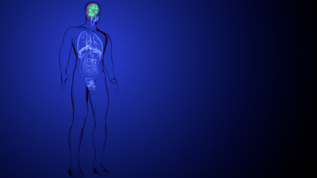 Human body anatomy with skeleton lateral view for medical and health care conceptの写真素材