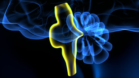 X-ray image of a human body. 3D illustration.