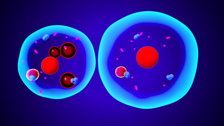 Blood cells with red, blue and pink blood cells. Vector illustration.