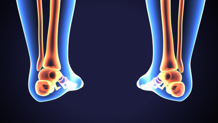 X-ray image of human foot bones. 3D illustration.