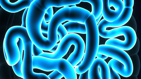 3D illustration of a large intestine with many small intestine in high detailの写真素材