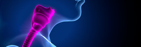 Digital illustration of  Teeth bone in colour  back  backgroundの写真素材