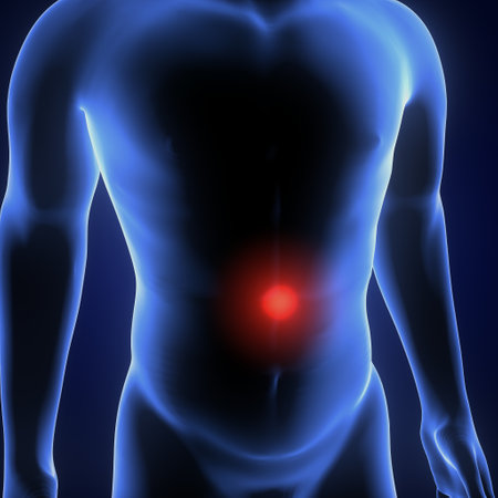 Male body with highlighted pain in his back. 3D illustration.