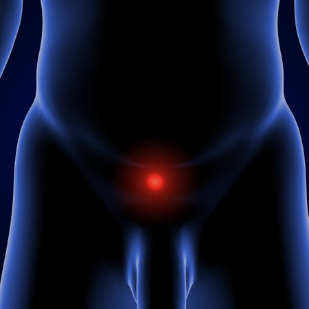 Pain in the knee, 3D illustration showing pain in the kneeの写真素材