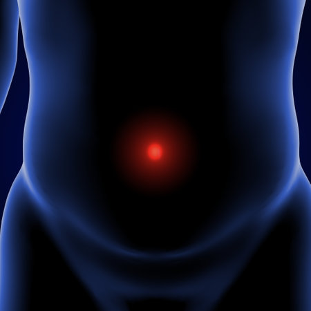 3d render of back pain in human body with highlighted red spotの写真素材