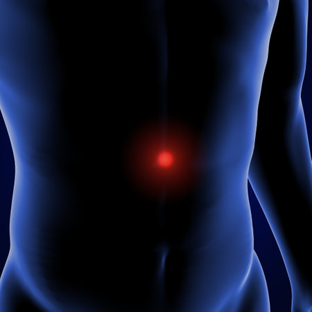 3D render of a male body with highlighted red spot on the abdomen