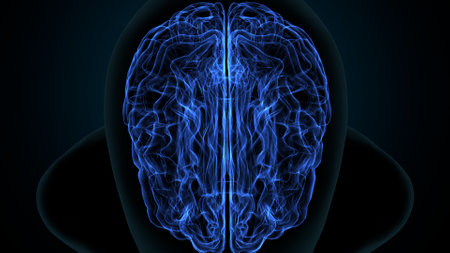 Human Brain Anatomy (3D Rendering) with Blue Light