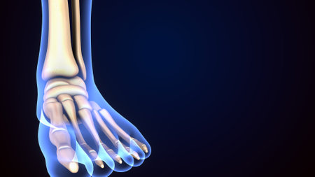 X-ray of human foot on blue background, 3D illustrationの写真素材