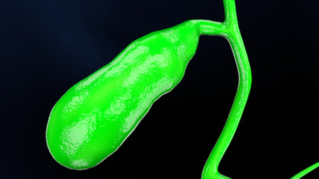 Helicobacter pylori bacterium. 3D illustration