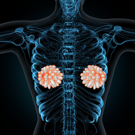 Human Respiratory System Anatomy For Medical Concept 3D Illustration