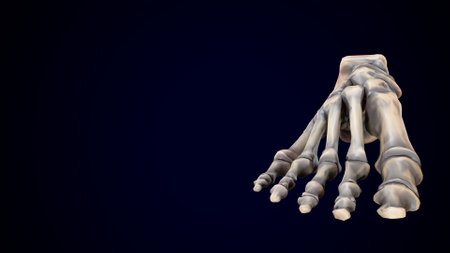 Human skeleton hand on dark blue background. 3D Rendering.