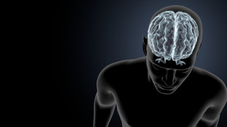 Human Brain Anatomy - 3D Illustration of Human Brain Anatomyの写真素材