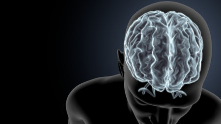 Human Brain Anatomy For Medical Concept 3D Illustration Design.