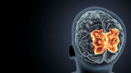 Human brain with glowing brain on dark background. 3D illustration.