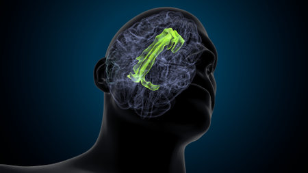 Human head with glowing brain on dark blue background, 3D rendering