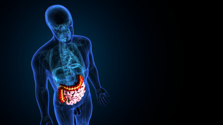 Human Organs - Lymph Nodes. 3D Illustration