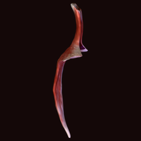 digital fractal on black background generated at computer in black and white.の写真素材