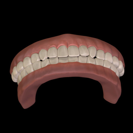 3d render of jaw with teeth isolated on black background, top view