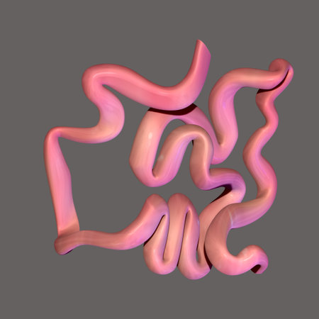 3d rendering of human intestine isolated on grey background. Human digestive systemの写真素材