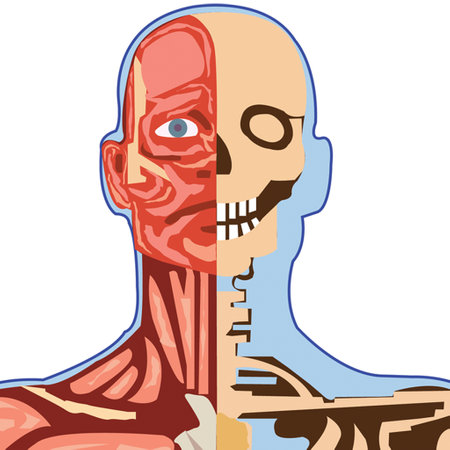 Illustration of a man with a medical mask on his face.の写真素材