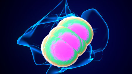 Cell Anatomy For Medical Concept. 3D Illustration.