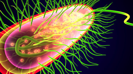 Human pancreas with cancer cell, 3D illustration showing cancer cellsの写真素材