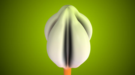 3d rendering of a tulip flower on a green background.の写真素材
