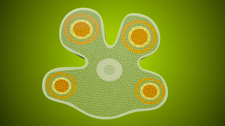 Viruses in the form of a green cell. Vector illustrationの写真素材
