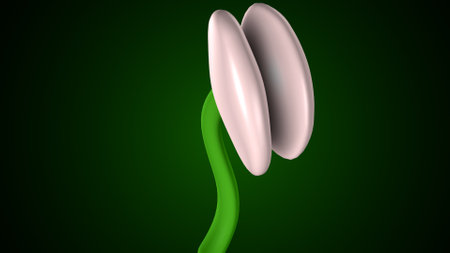 Digital illustration of  hair follicle  in colour  background.の写真素材