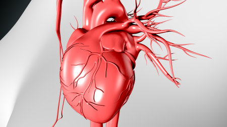 Human Heart with Veins Anatomy For Medical Concept 3D Illustrationの写真素材