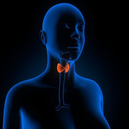 Human Organs - Male Organs. 3D Illustration.の写真素材