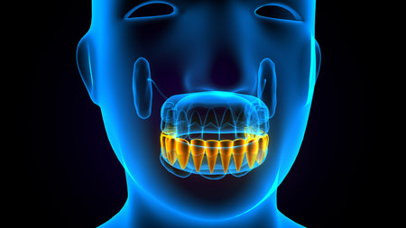 Dental X-Ray with Teeth - 3D Illustrationの写真素材