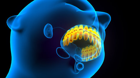 Digital illustration of  teeth in     colour  backgroundの写真素材