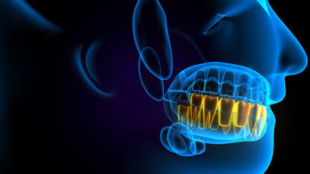 Digital illustration of  Teeth in colour  background. 3D renderingの写真素材