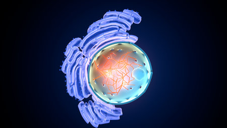 Plant nucleus anatomy. 3d illustrations