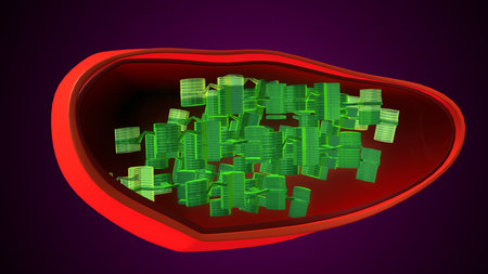 Plant chloroplast anatomy. 3d illustrationsの写真素材