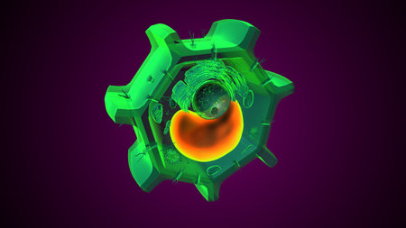 Plant vacuole anatomy. 3d illustrationsの写真素材