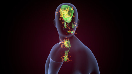 Human glands Anatomy. 3D Renderingの写真素材