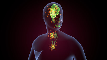 Human glands anatomy. 3d illustrationsの写真素材