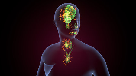 Human glands anatomy. 3d illustrationsの写真素材