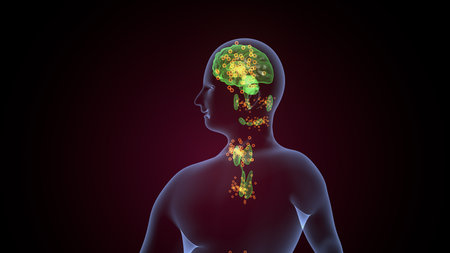 Human glands anatomy. 3d illustrationsの写真素材