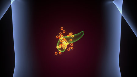 Human pancreas in the form of a drop of blood.  illustrationの写真素材
