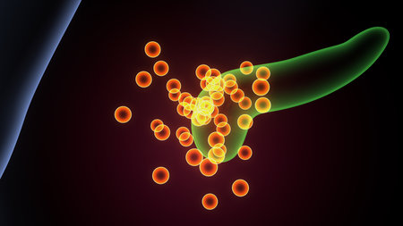 Human glands anatomy. 3d illustrationsの写真素材