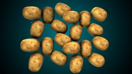 3d render of potatoes on a green background with copy space.の写真素材